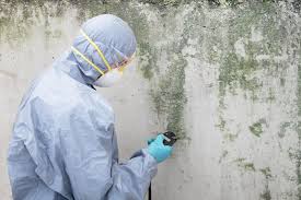 Lancaster, OH Mold Removal Company